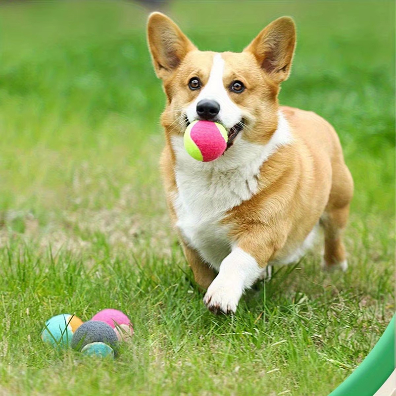 1/2pcs Balls Toy Solid Hard Ba - Outdoor Sport Games For Kids review and price